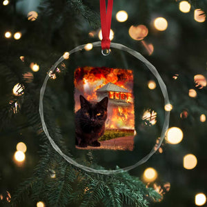 Funny Crazy Cat Selfie Crystal Glass Ornament Bad Kitty Chaos Humor Graphic TS12 Print Your Wear