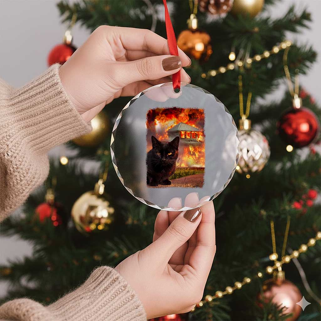 Funny Crazy Cat Selfie Crystal Glass Ornament Bad Kitty Chaos Humor Graphic TS12 Print Your Wear