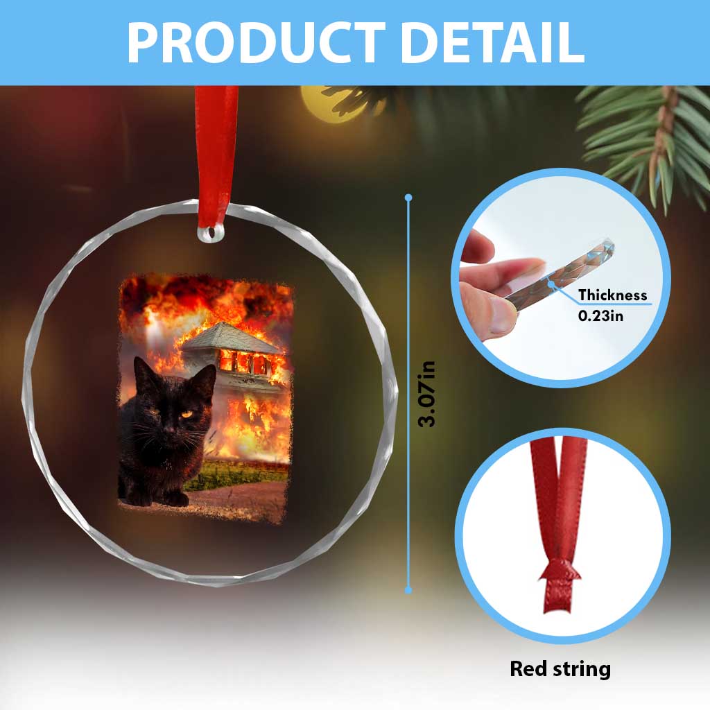 Funny Crazy Cat Selfie Crystal Glass Ornament Bad Kitty Chaos Humor Graphic TS12 Print Your Wear