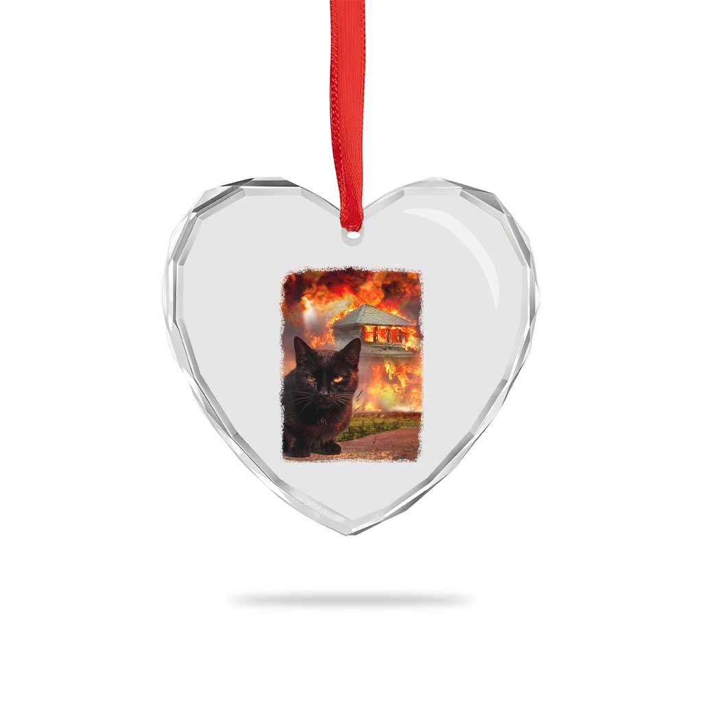 Funny Crazy Cat Selfie Heart Crystal Glass Ornament Bad Kitty Chaos Humor Graphic TS12 Print Your Wear