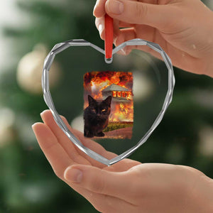 Funny Crazy Cat Selfie Heart Crystal Glass Ornament Bad Kitty Chaos Humor Graphic TS12 Print Your Wear