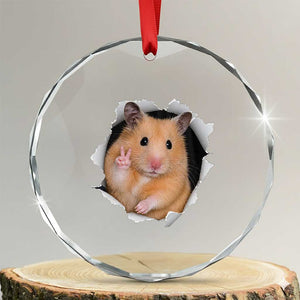Funny Curious Hamster Peeking Through A Cracked Wall Meme Crystal Glass Ornament TS12 Transparent Glass 3'' Circle Print Your Wear