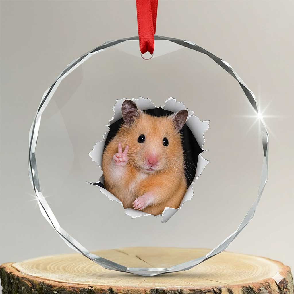 Funny Curious Hamster Peeking Through A Cracked Wall Meme Crystal Glass Ornament TS12 Transparent Glass 3'' Circle Print Your Wear