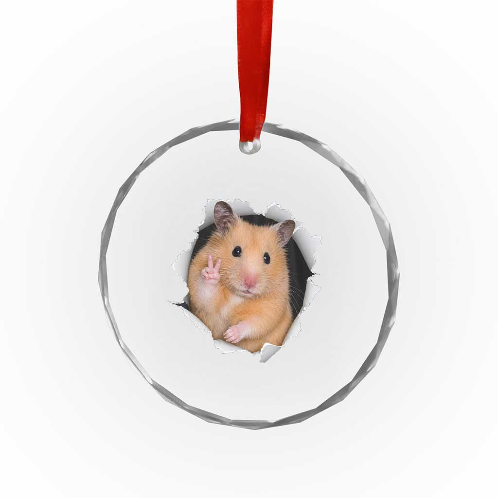 Funny Curious Hamster Peeking Through A Cracked Wall Meme Crystal Glass Ornament TS12 Print Your Wear