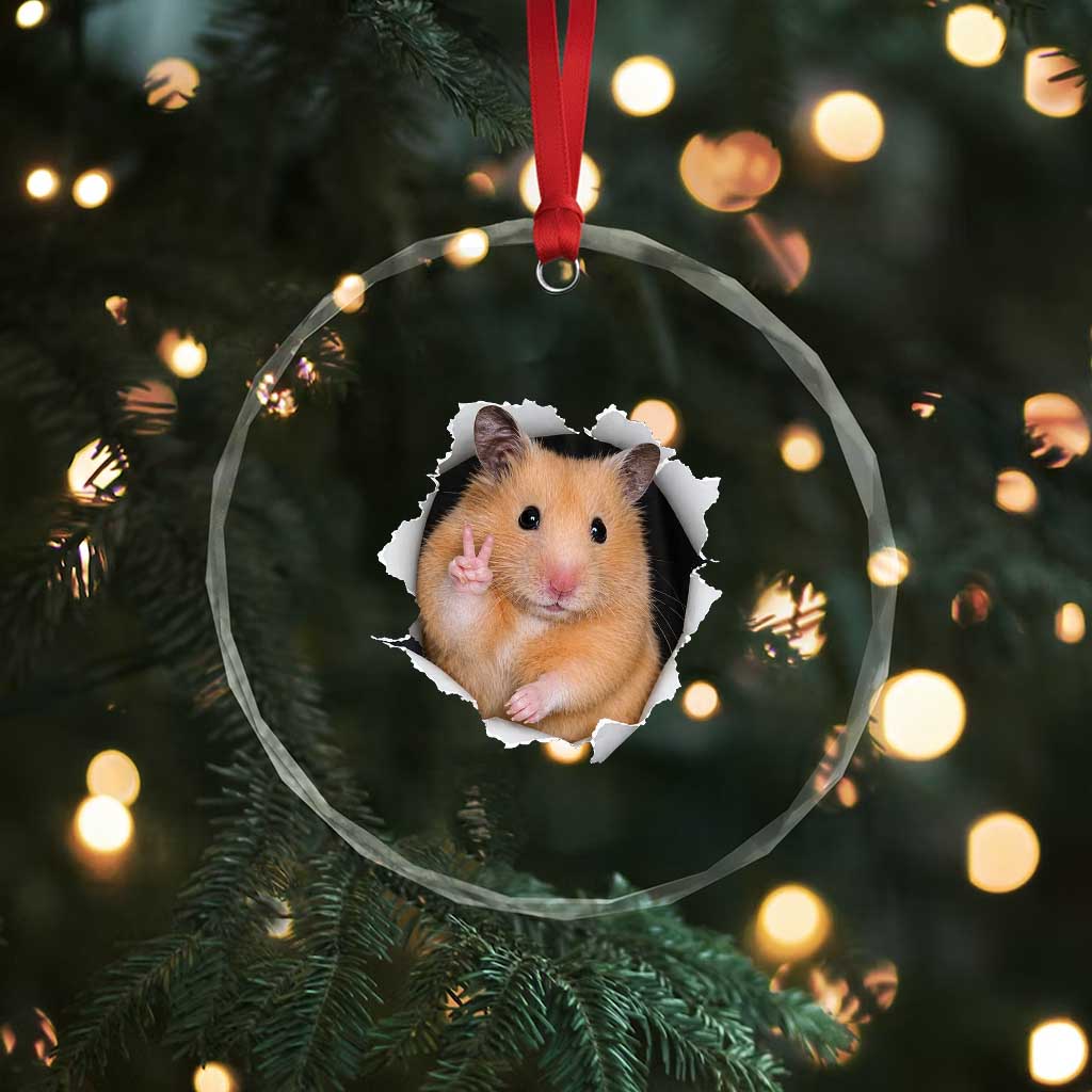 Funny Curious Hamster Peeking Through A Cracked Wall Meme Crystal Glass Ornament TS12 Print Your Wear