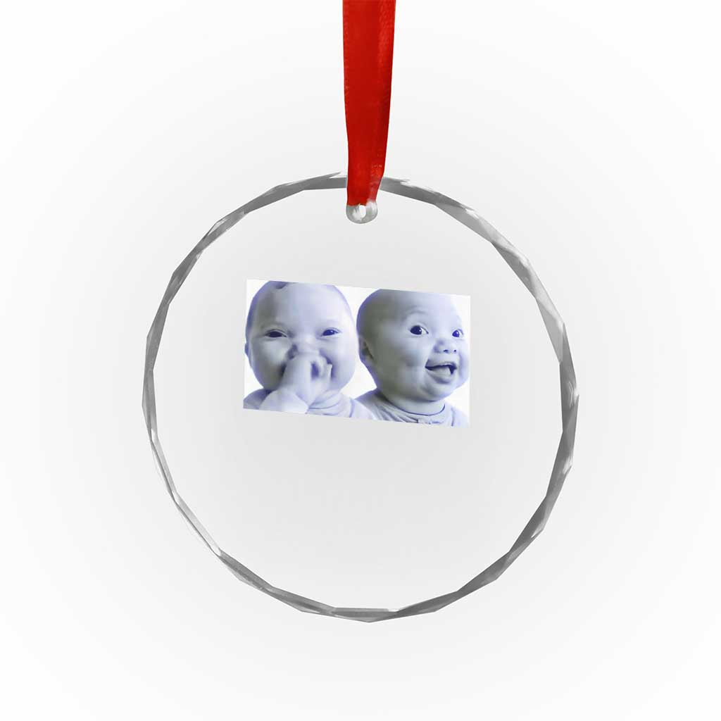 Funny Double Trouble Tuff Baby Meme Crystal Glass Ornament Viral AI Niche Baby Holding Laugh Duo Reaction TS02 Print Your Wear