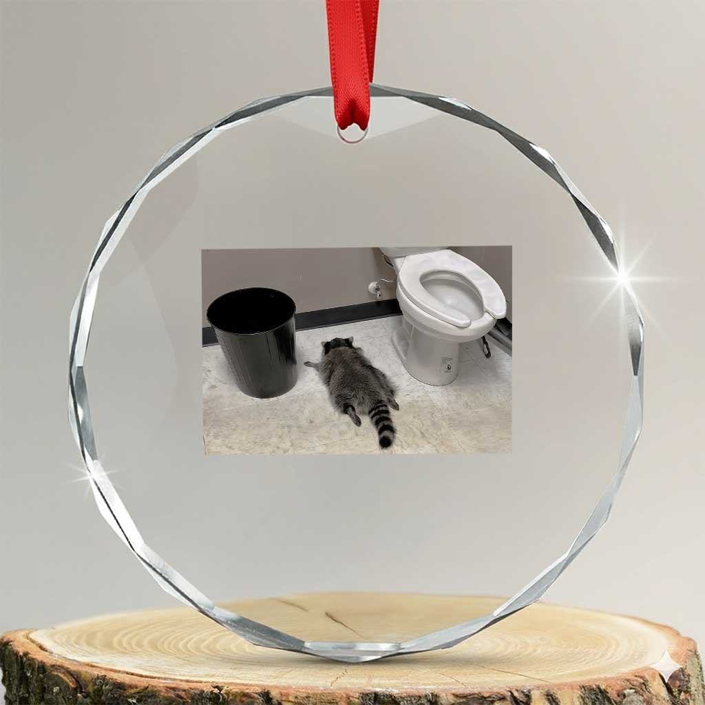 Funny Drunk Raccoon Crystal Glass Ornament Vintage Liquor Store Trash Panda Memes TS10 Transparent Glass 3'' Circle Print Your Wear