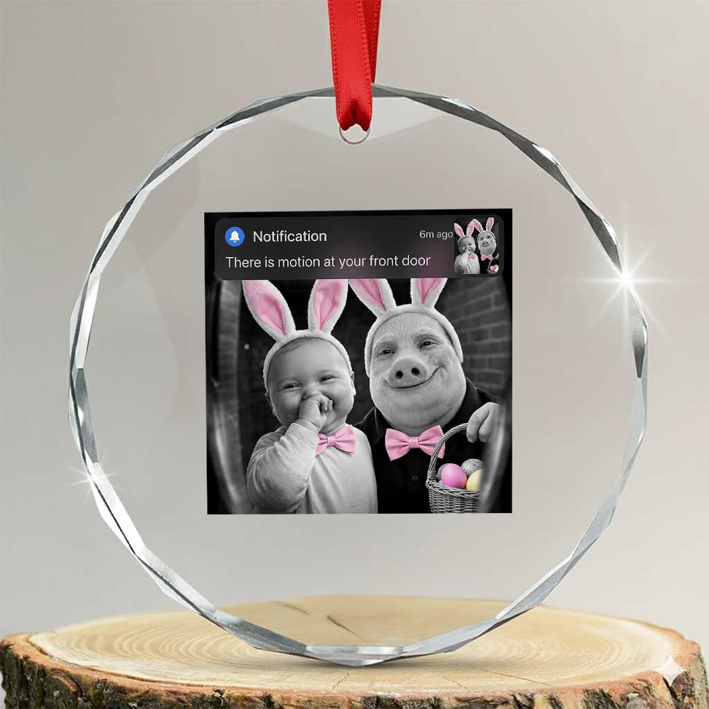 Funny Easter AI Baby with John Pork Meme Crystal Glass Ornament There Is Motion at Your Front Door Notification Humor TS02 Transparent Glass 3'' Circle Print Your Wear
