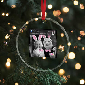 Funny Easter AI Baby with John Pork Meme Crystal Glass Ornament There Is Motion at Your Front Door Notification Humor TS02 Print Your Wear