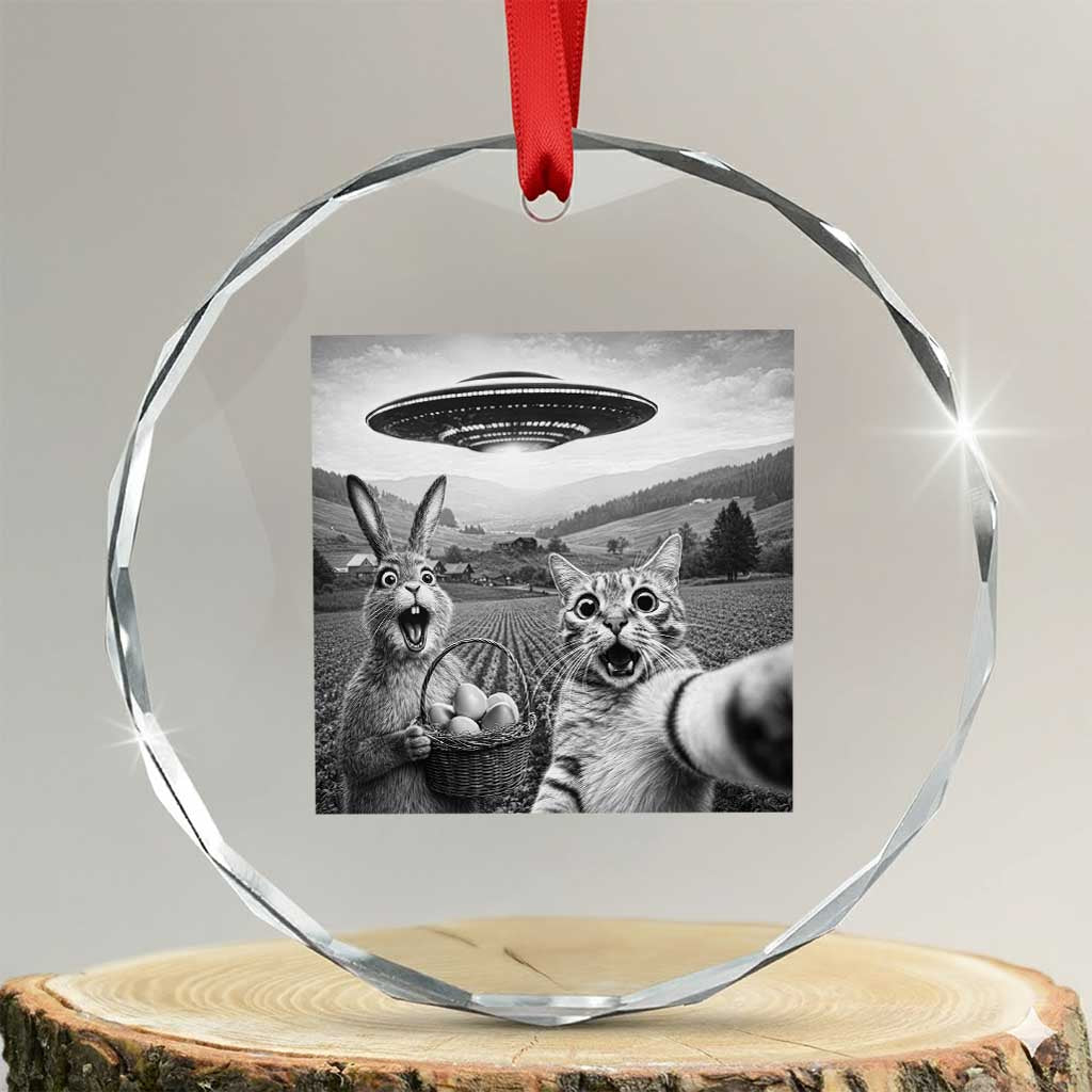 Funny Easter Crystal Glass Ornament Christian Cat Selfie Bunny Meme TS14 Transparent Glass 3'' Circle Print Your Wear