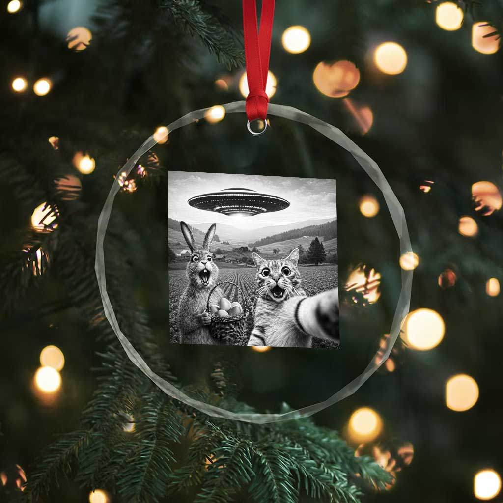 Funny Easter Crystal Glass Ornament Christian Cat Selfie Bunny Meme TS14 Print Your Wear