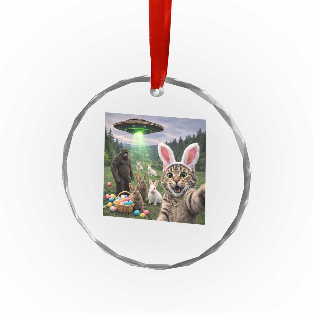 Funny Easter Day Crystal Glass Ornament Cat Selfie With Bunny Bigfoot UFO Bunny Egg TS10 Print Your Wear