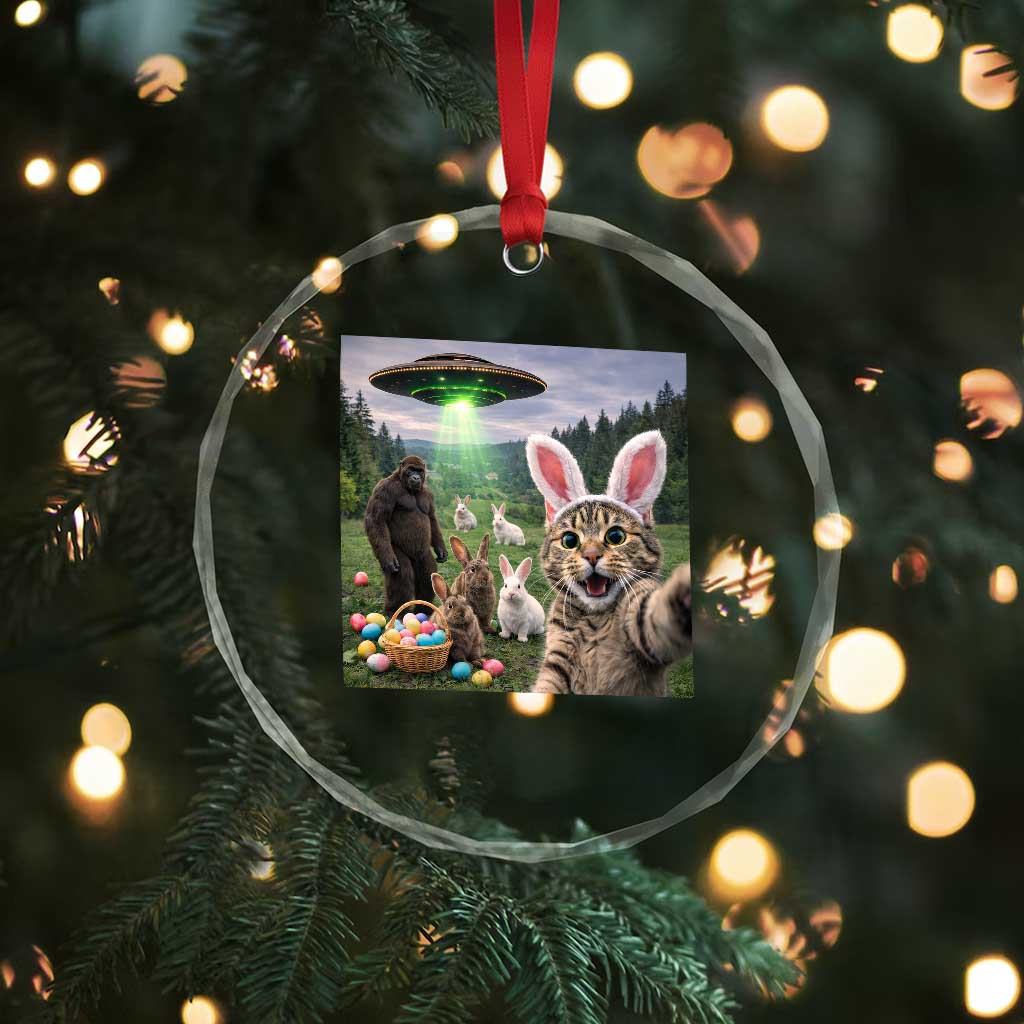 Funny Easter Day Crystal Glass Ornament Cat Selfie With Bunny Bigfoot UFO Bunny Egg TS10 Print Your Wear