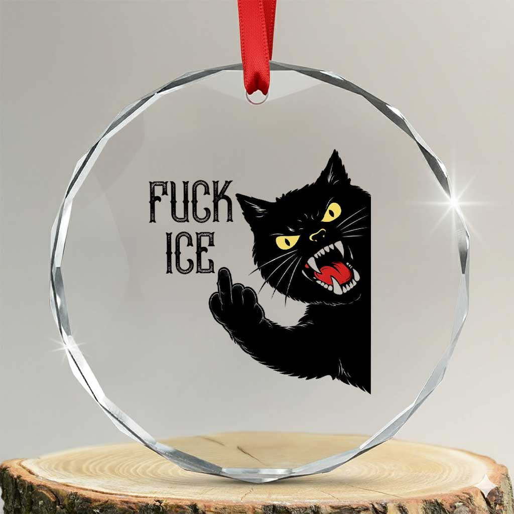 Funny Fck Ice Black Cat Crystal Glass Ornament Resist Minneapolis Political TS12 Transparent Glass 3'' Circle Print Your Wear