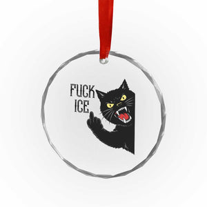 Funny Fck Ice Black Cat Crystal Glass Ornament Resist Minneapolis Political TS12 Print Your Wear
