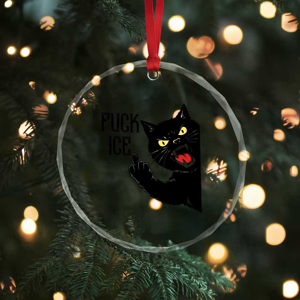 Funny Fck Ice Black Cat Crystal Glass Ornament Resist Minneapolis Political TS12 Print Your Wear