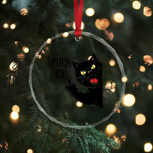 Funny Fck Ice Black Cat Crystal Glass Ornament Resist Minneapolis Political TS12 Print Your Wear