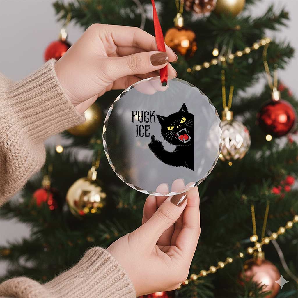Funny Fck Ice Black Cat Crystal Glass Ornament Resist Minneapolis Political TS12 Print Your Wear