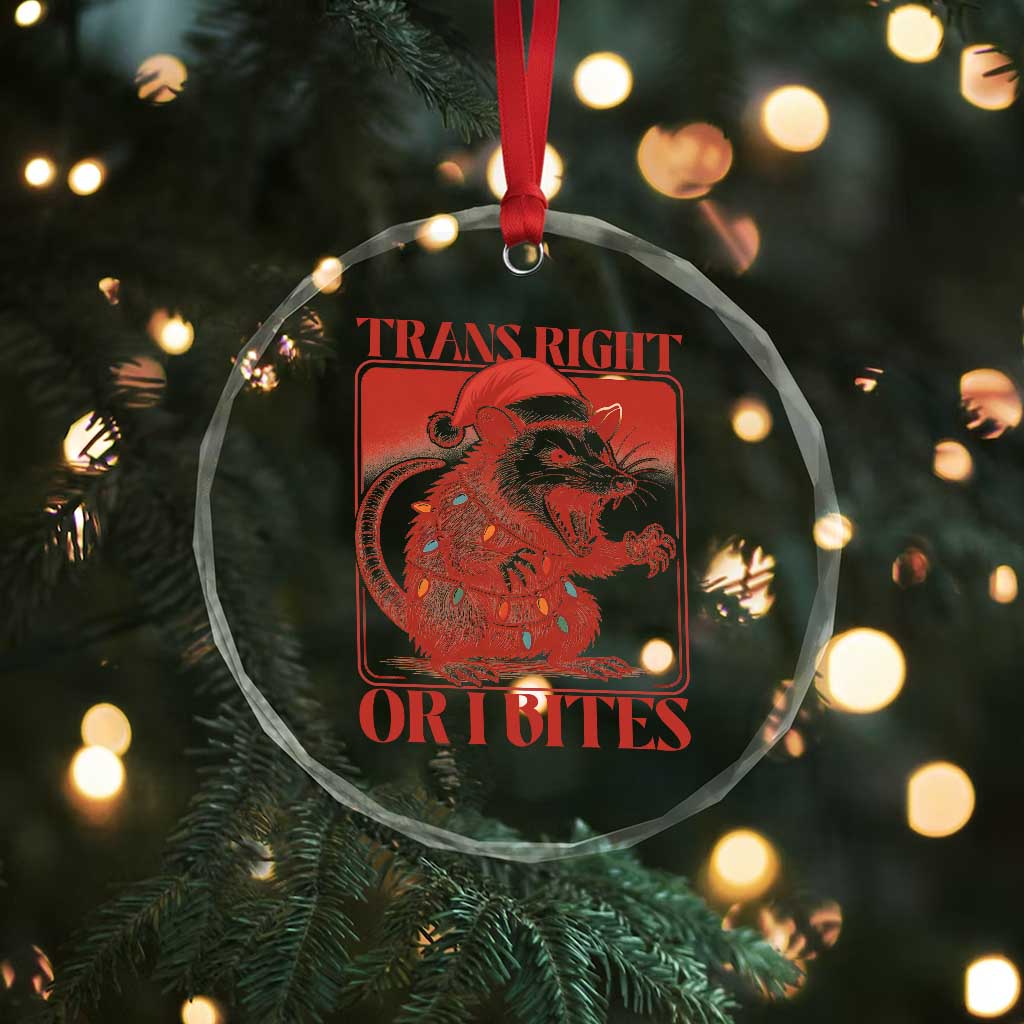 Funny Fierce Opossum Santa Crystal Glass Ornament Trans Right Or I Bites Christmas Gift TS12 Print Your Wear