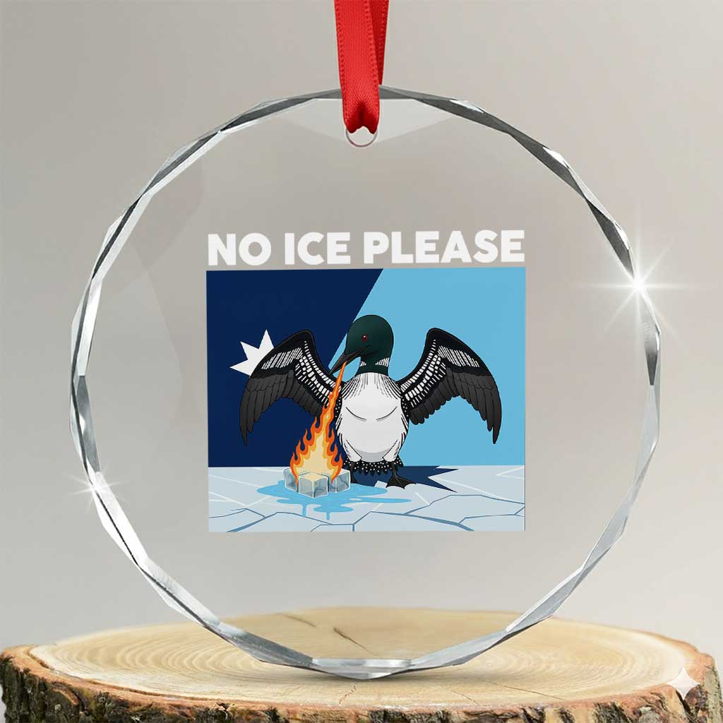 Funny Fire Breathing Loon Crystal Glass Ornament No Ice Please TS12 Transparent Glass 3'' Circle Print Your Wear