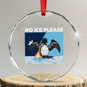 Funny Fire Breathing Loon Crystal Glass Ornament No Ice Please TS12 Transparent Glass 3'' Circle Print Your Wear