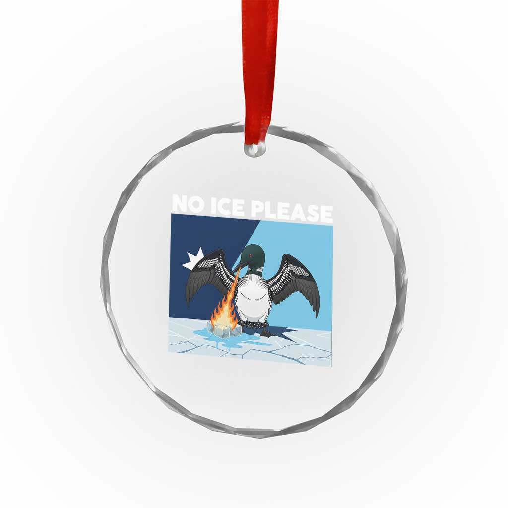 Funny Fire Breathing Loon Crystal Glass Ornament No Ice Please TS12 Print Your Wear