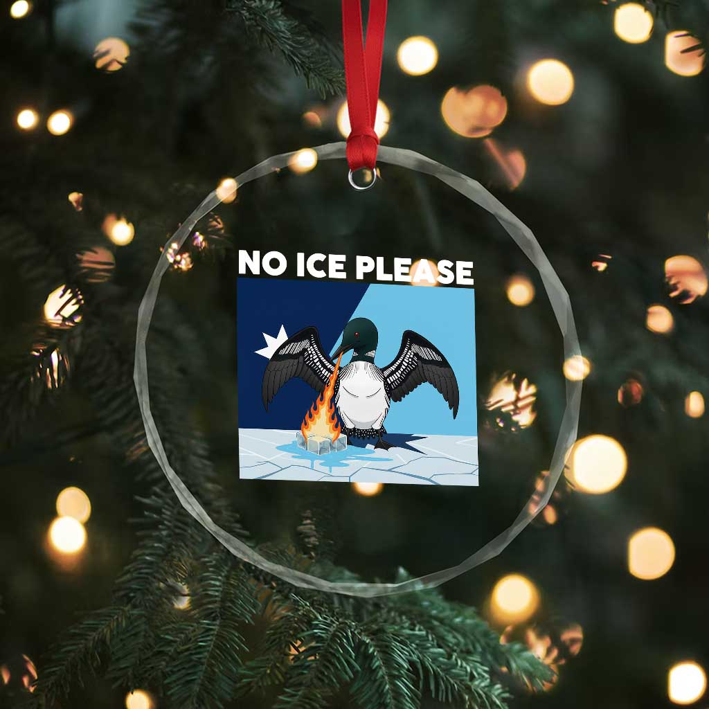 Funny Fire Breathing Loon Crystal Glass Ornament No Ice Please TS12 Print Your Wear