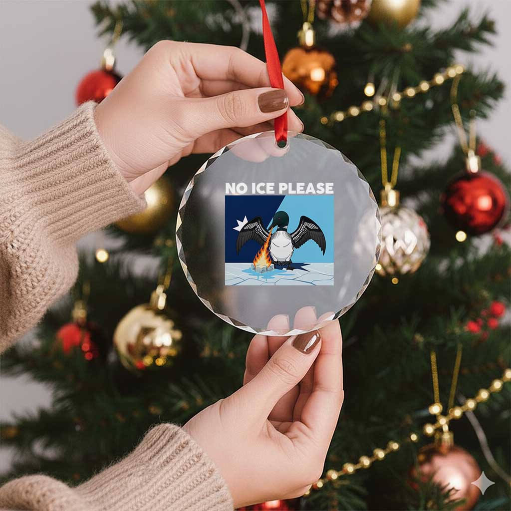 Funny Fire Breathing Loon Crystal Glass Ornament No Ice Please TS12 Print Your Wear