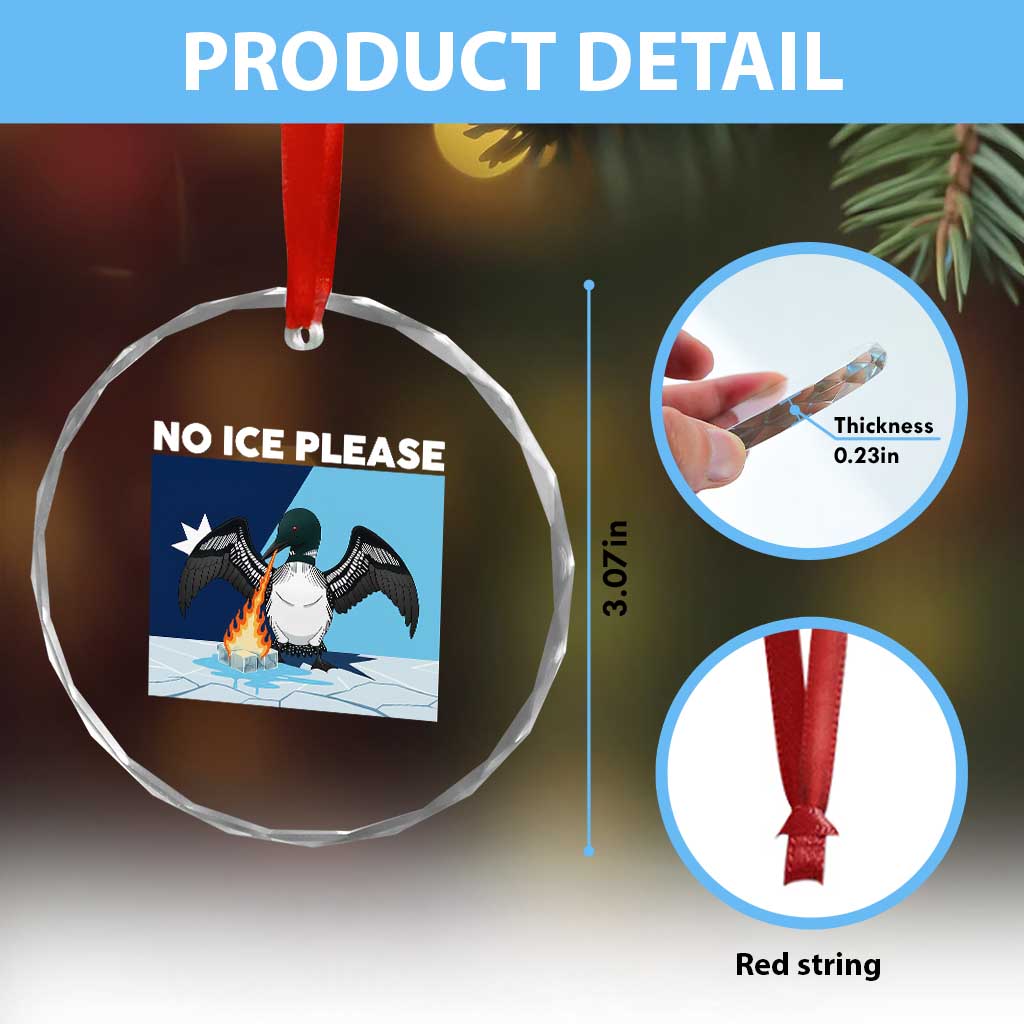 Funny Fire Breathing Loon Crystal Glass Ornament No Ice Please TS12 Print Your Wear
