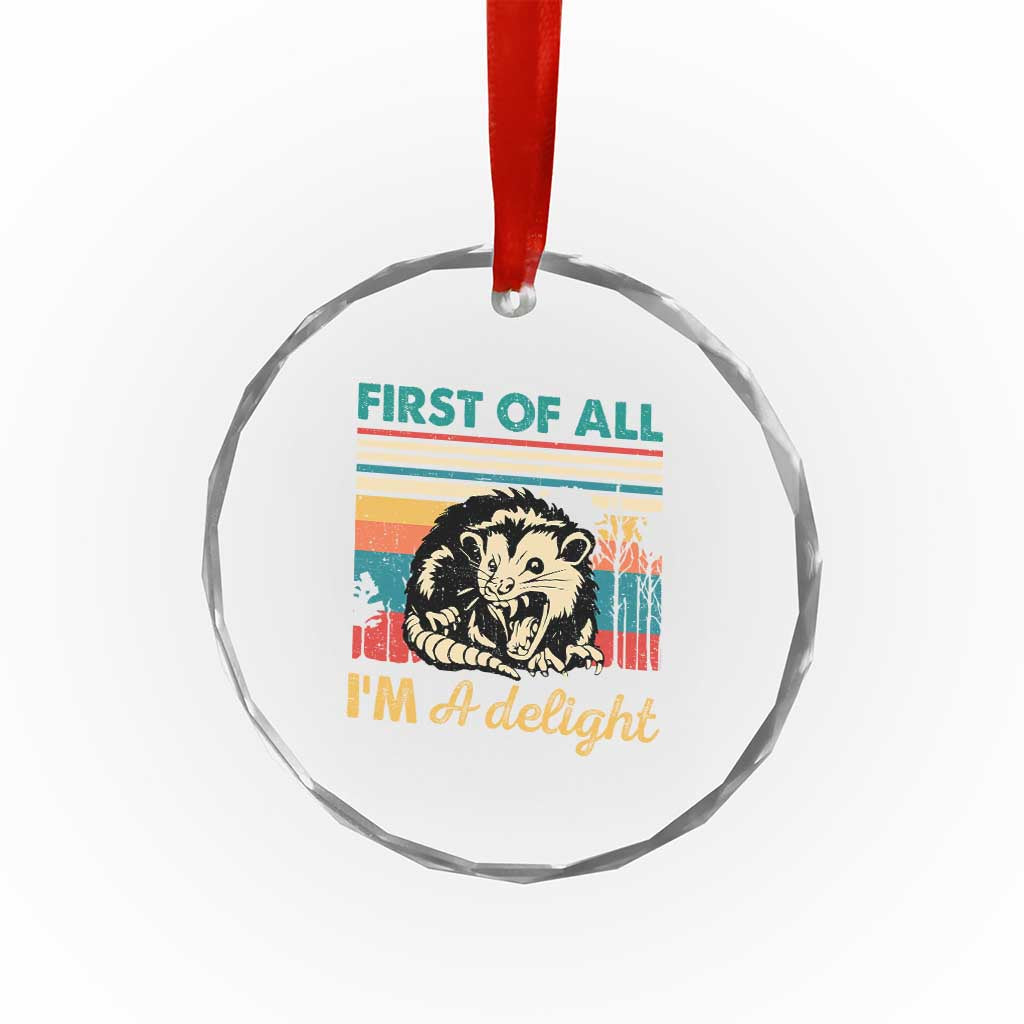 Funny First Of All I Am A Delight Crystal Glass Ornament Retro Angry Opossum TS11 Print Your Wear