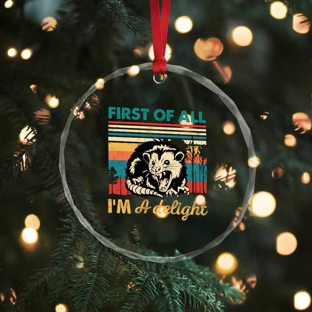 Funny First Of All I Am A Delight Crystal Glass Ornament Retro Angry Opossum TS11 Print Your Wear
