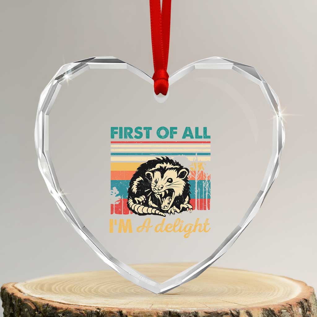 Funny First Of All I Am A Delight Heart Crystal Glass Ornament Retro Angry Opossum TS11 Transparent Glass 3'' Heart Print Your Wear