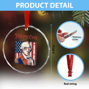 Funny George Washington Revolutionary Patriotic Crystal Glass Ornament Feeling Cute Might Start A Revolution Later