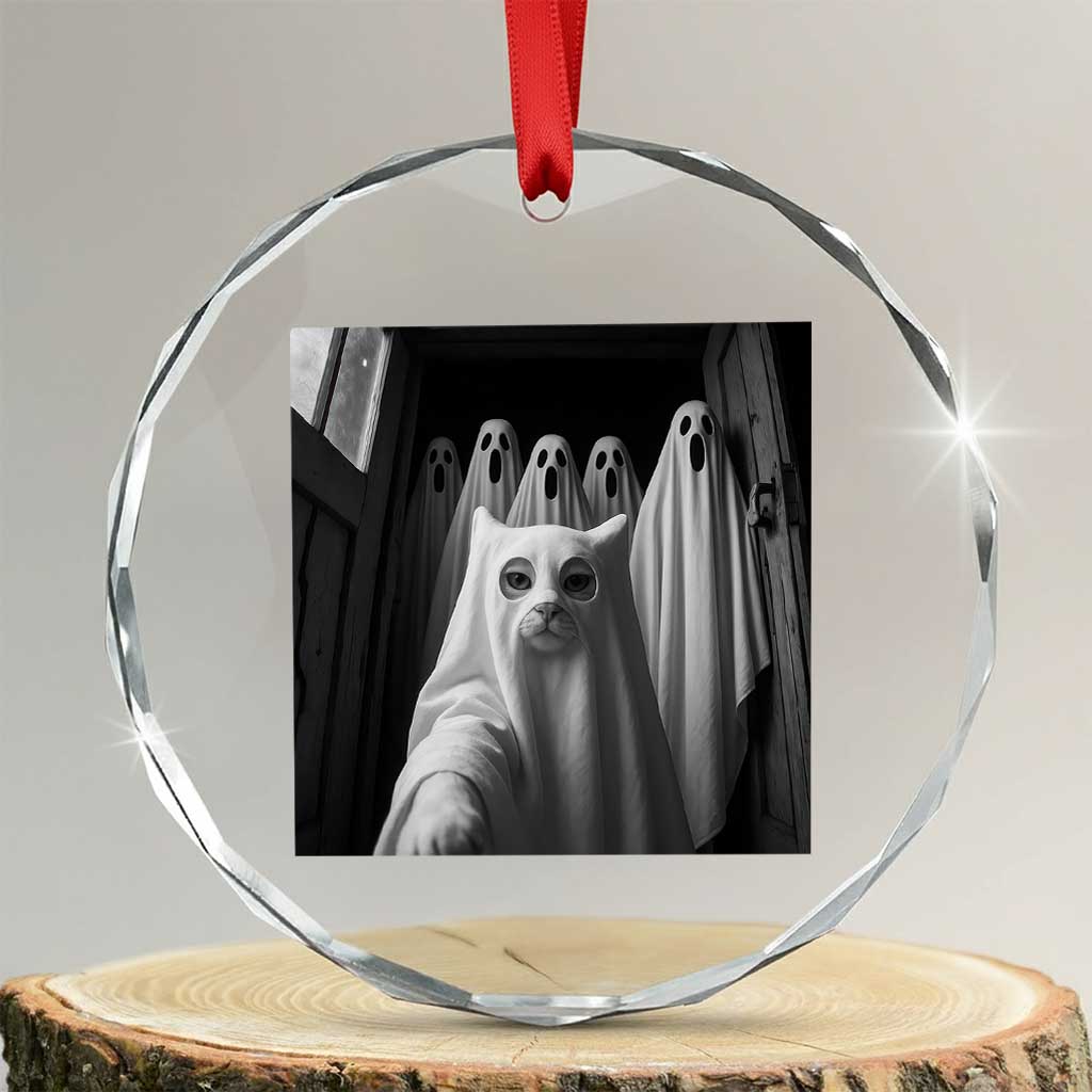 Funny Ghost Cat Halloween Meme Crystal Glass Ornament TS14 Transparent Glass 3'' Circle Print Your Wear