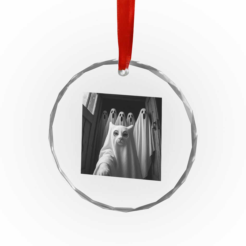 Funny Ghost Cat Halloween Meme Crystal Glass Ornament TS14 Print Your Wear