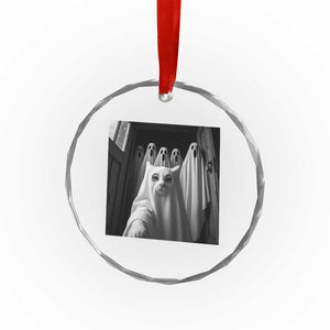 Funny Ghost Cat Halloween Meme Crystal Glass Ornament TS14 Print Your Wear