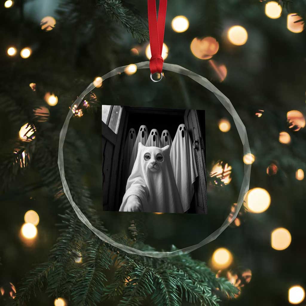 Funny Ghost Cat Halloween Meme Crystal Glass Ornament TS14 Print Your Wear