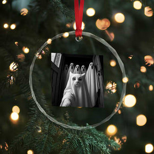 Funny Ghost Cat Halloween Meme Crystal Glass Ornament TS14 Print Your Wear