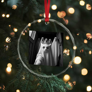 Funny Ghost Cat Halloween Meme Crystal Glass Ornament TS14 Print Your Wear