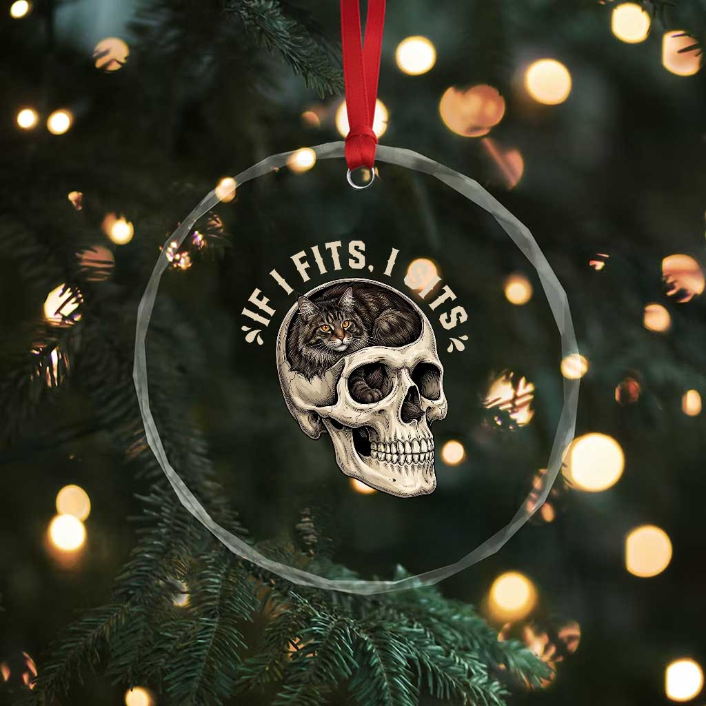 Funny Gothic Black Cat Skull Crystal Glass Ornament If I Fits I Sits TS12 Print Your Wear
