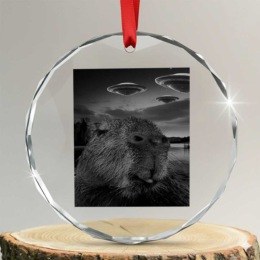 Funny Graphic Capybara Selfie with UFOs Weird Crystal Glass Ornament TS10 Transparent Glass 3'' Circle Print Your Wear