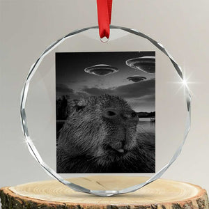 Funny Graphic Capybara Selfie with UFOs Weird Crystal Glass Ornament TS10 Transparent Glass 3'' Circle Print Your Wear