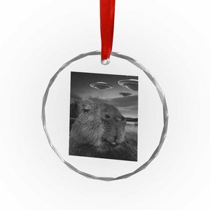 Funny Graphic Capybara Selfie with UFOs Weird Crystal Glass Ornament TS10 Print Your Wear