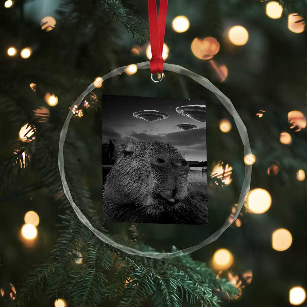 Funny Graphic Capybara Selfie with UFOs Weird Crystal Glass Ornament TS10 Print Your Wear