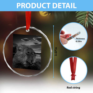 Funny Graphic Capybara Selfie with UFOs Weird Crystal Glass Ornament TS10 Print Your Wear