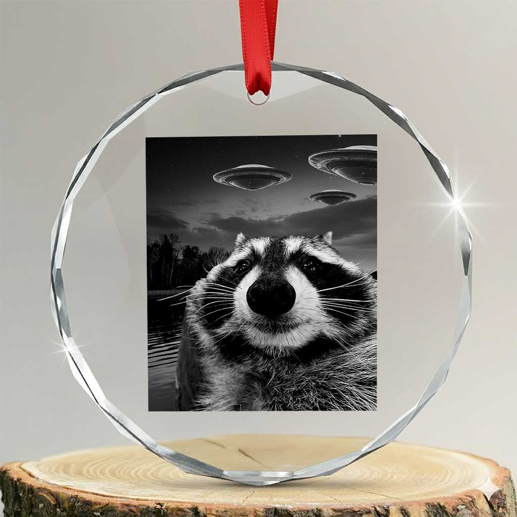 Funny Graphic Racoon Selfie with UFOs Weird Crystal Glass Ornament TS10 Transparent Glass 3'' Circle Print Your Wear