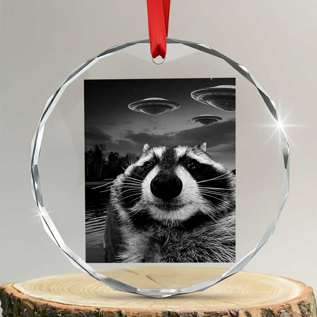 Funny Graphic Racoon Selfie with UFOs Weird Crystal Glass Ornament TS10 Transparent Glass 3'' Circle Print Your Wear