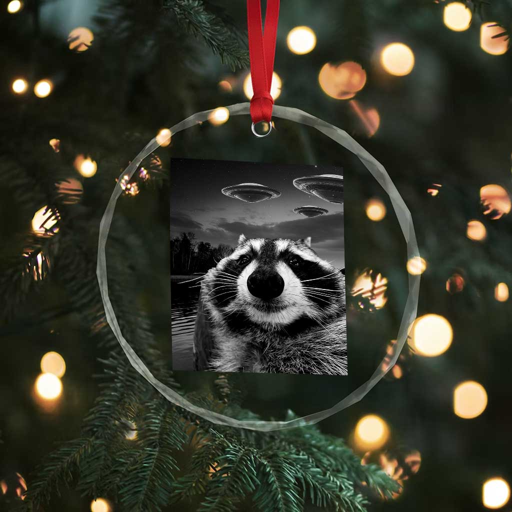 Funny Graphic Racoon Selfie with UFOs Weird Crystal Glass Ornament TS10 Print Your Wear