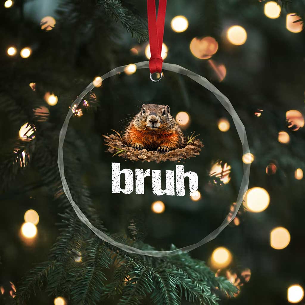 Funny Groundhog Crystal Glass Ornament Ground Hog Meme Lover Bruh Groundhog Day TS10 Print Your Wear