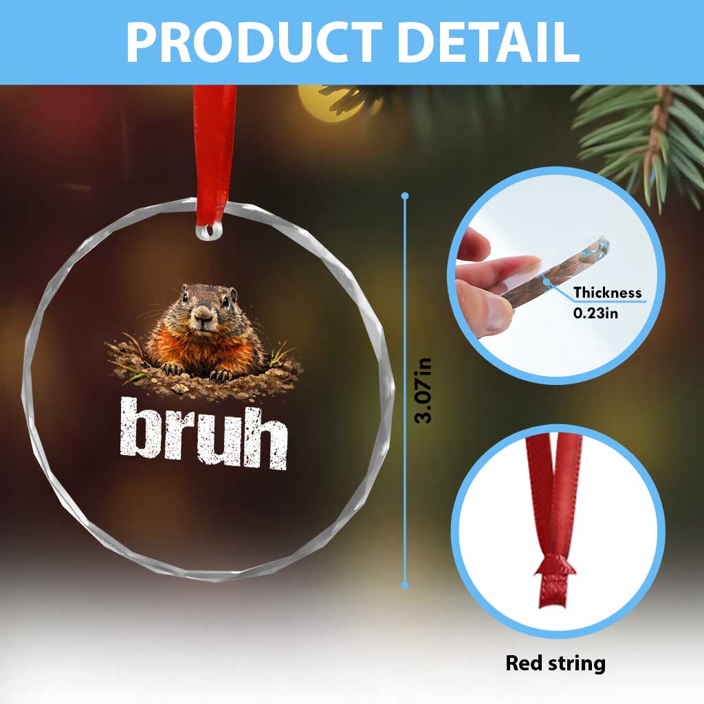 Funny Groundhog Crystal Glass Ornament Ground Hog Meme Lover Bruh Groundhog Day TS10 Print Your Wear